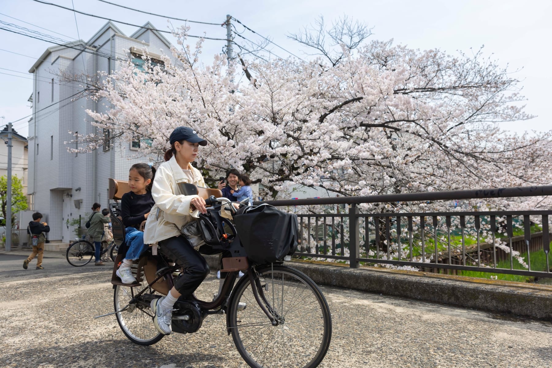 japan divorce couples joint custody