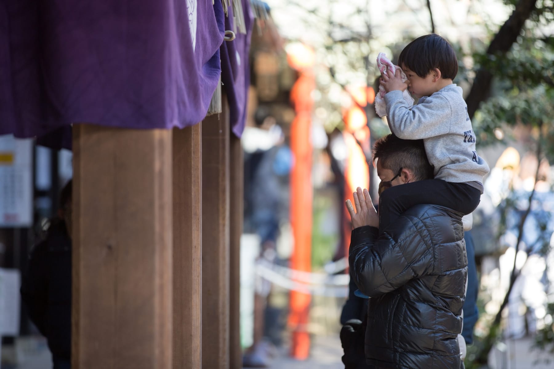japan divorce couples joint custody