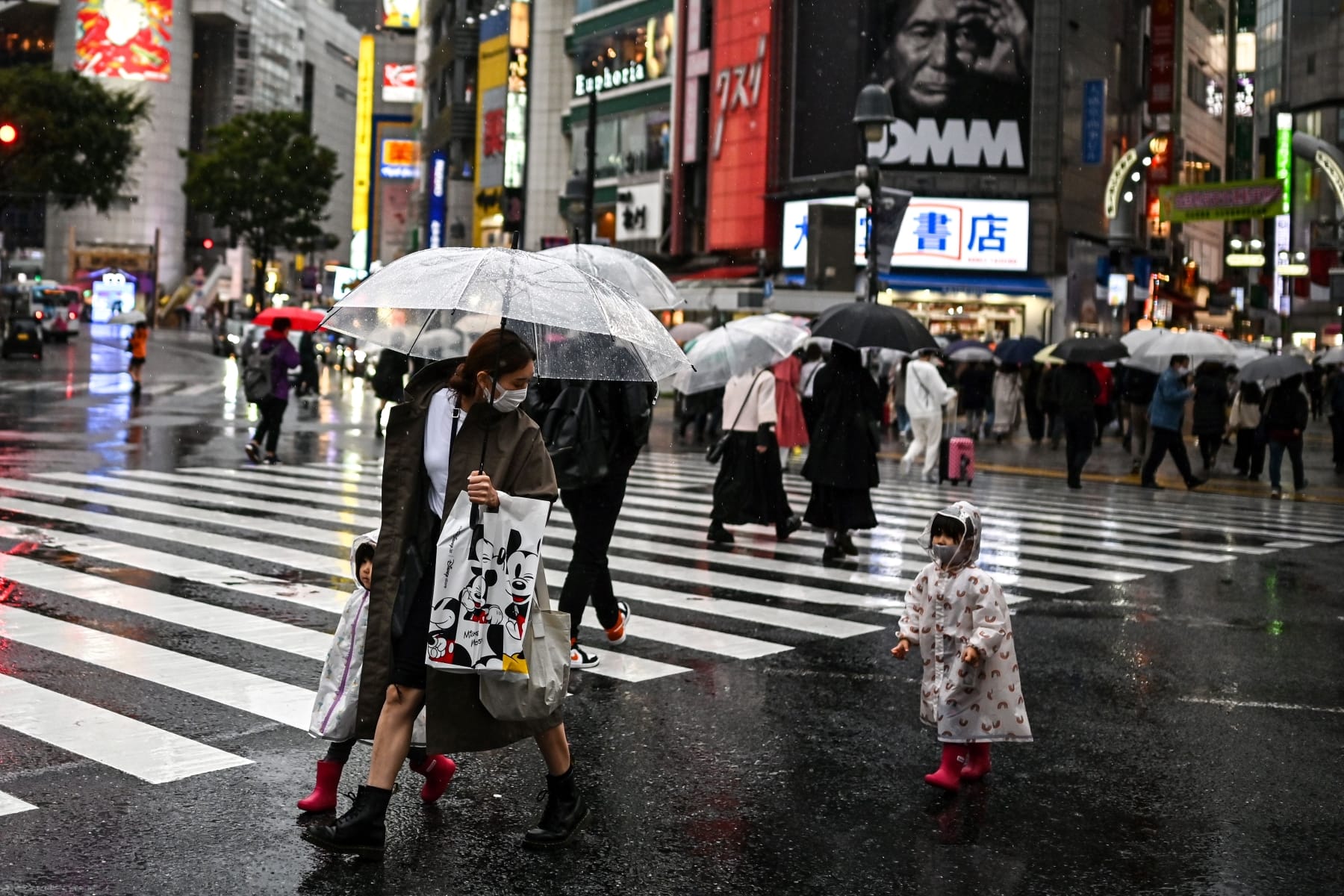 japan divorce couples joint custody