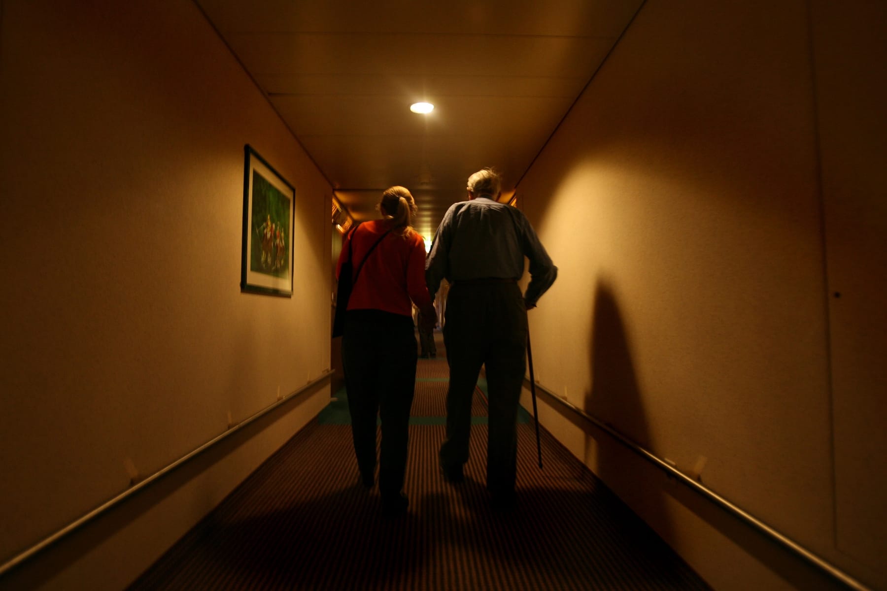 france assisted dying terminal illness bill