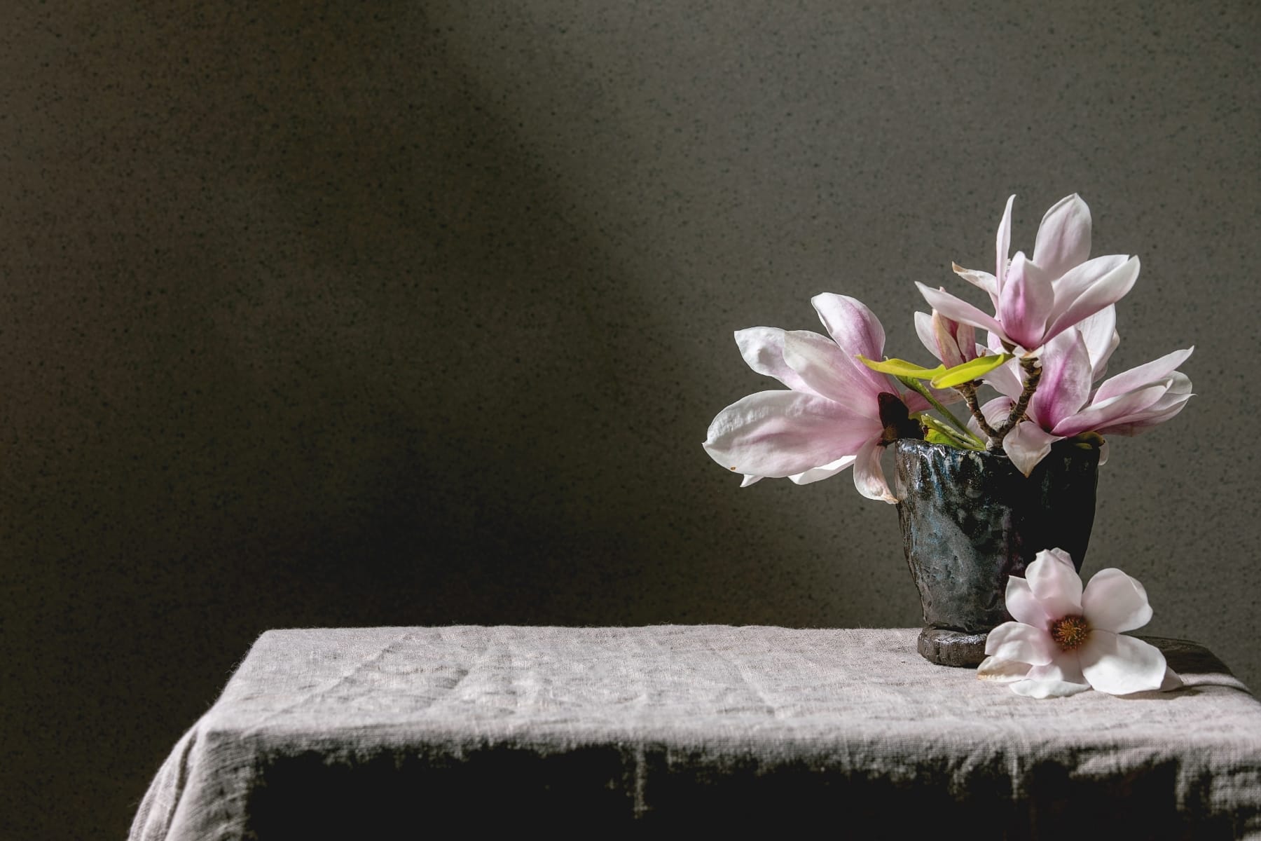 france assisted dying terminal illness bill