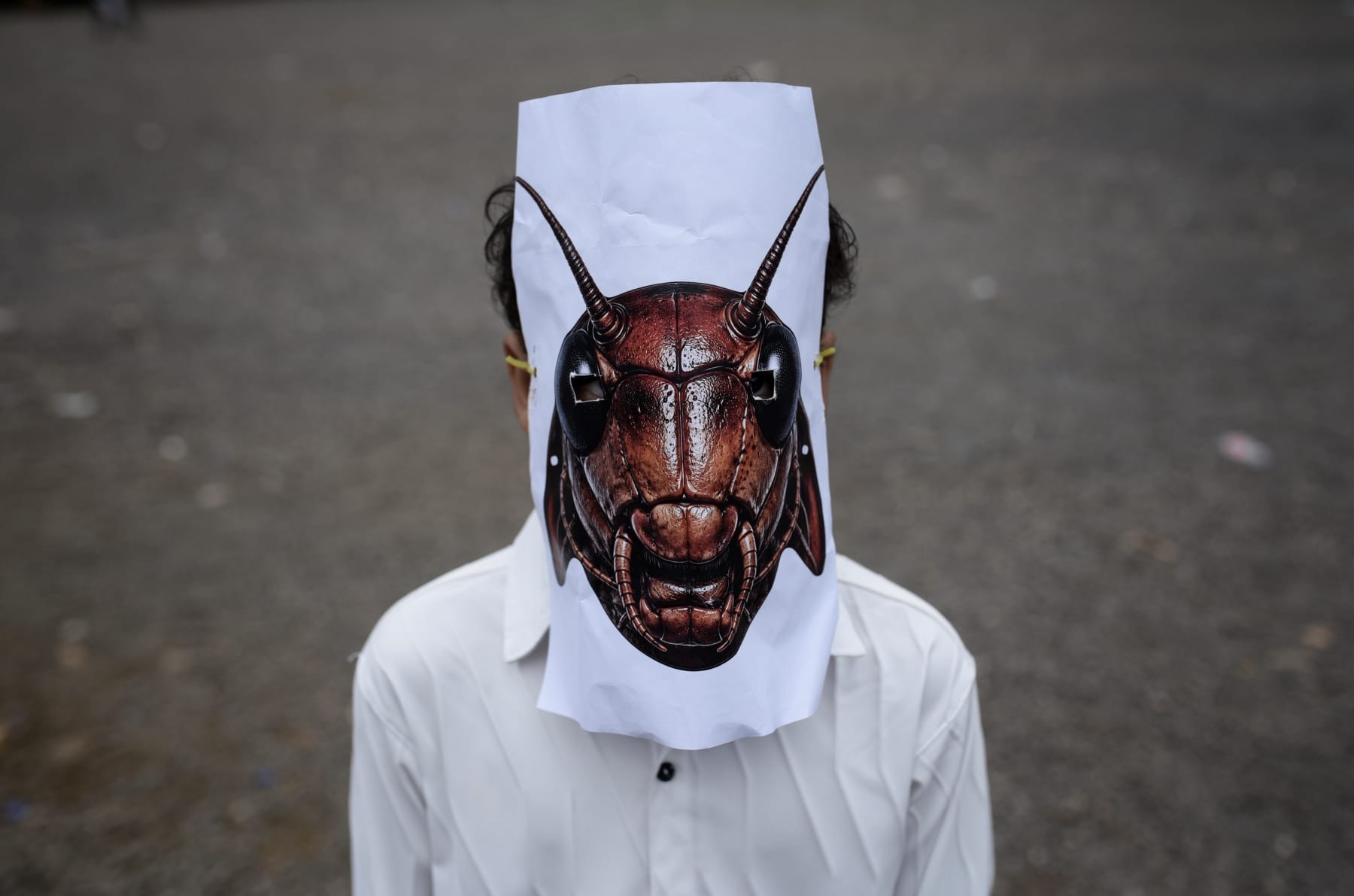 india gen z cockroach protests education minister resign