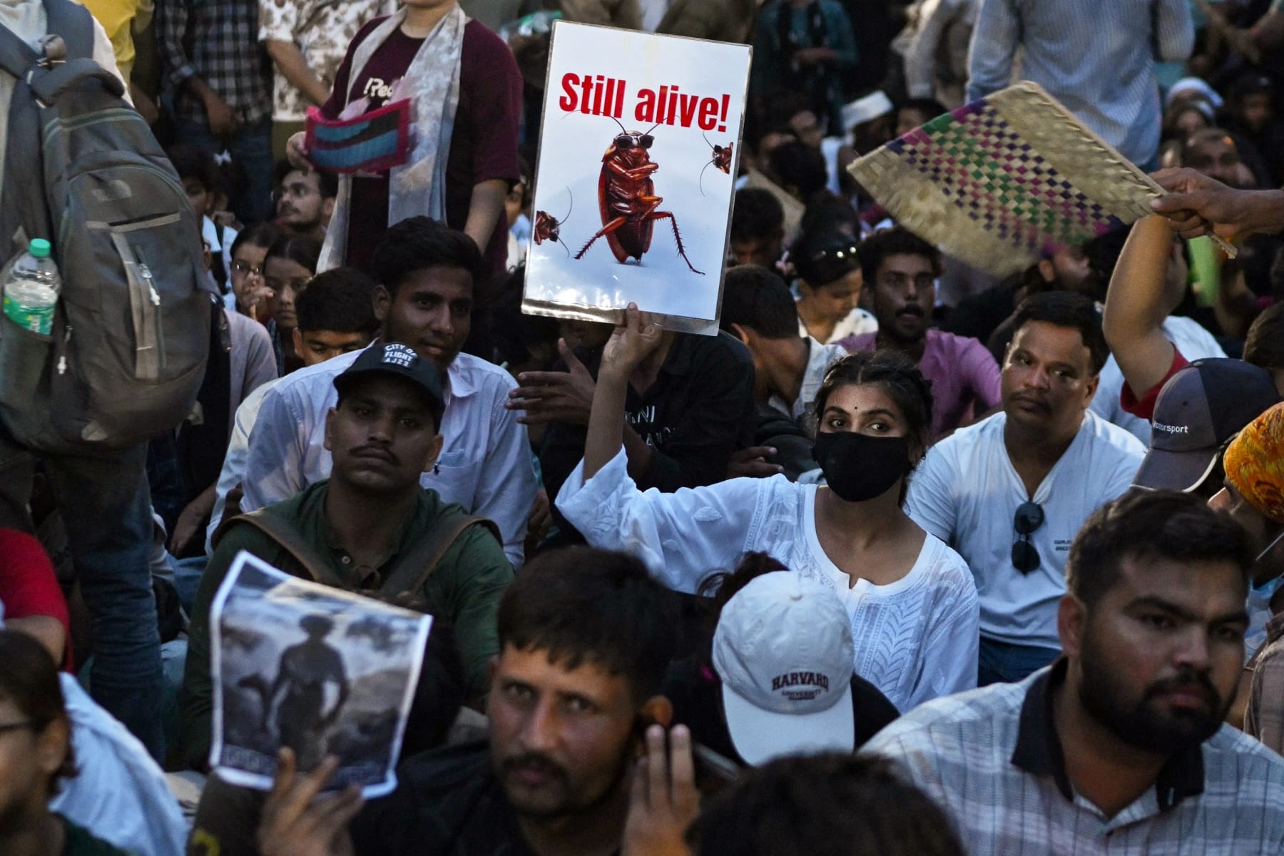 india gen z cockroach protests education minister resign