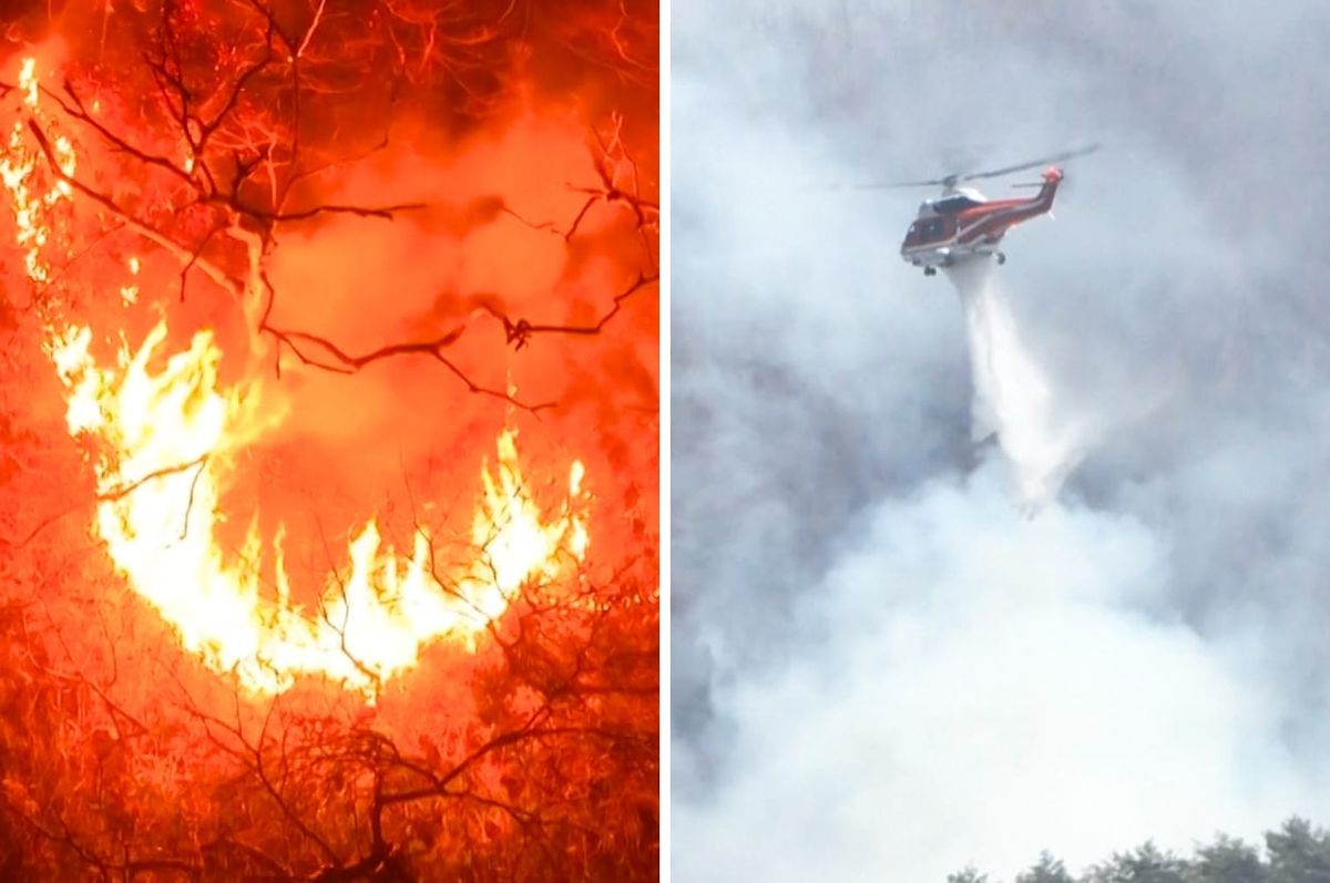 South Korea wildfire 2025