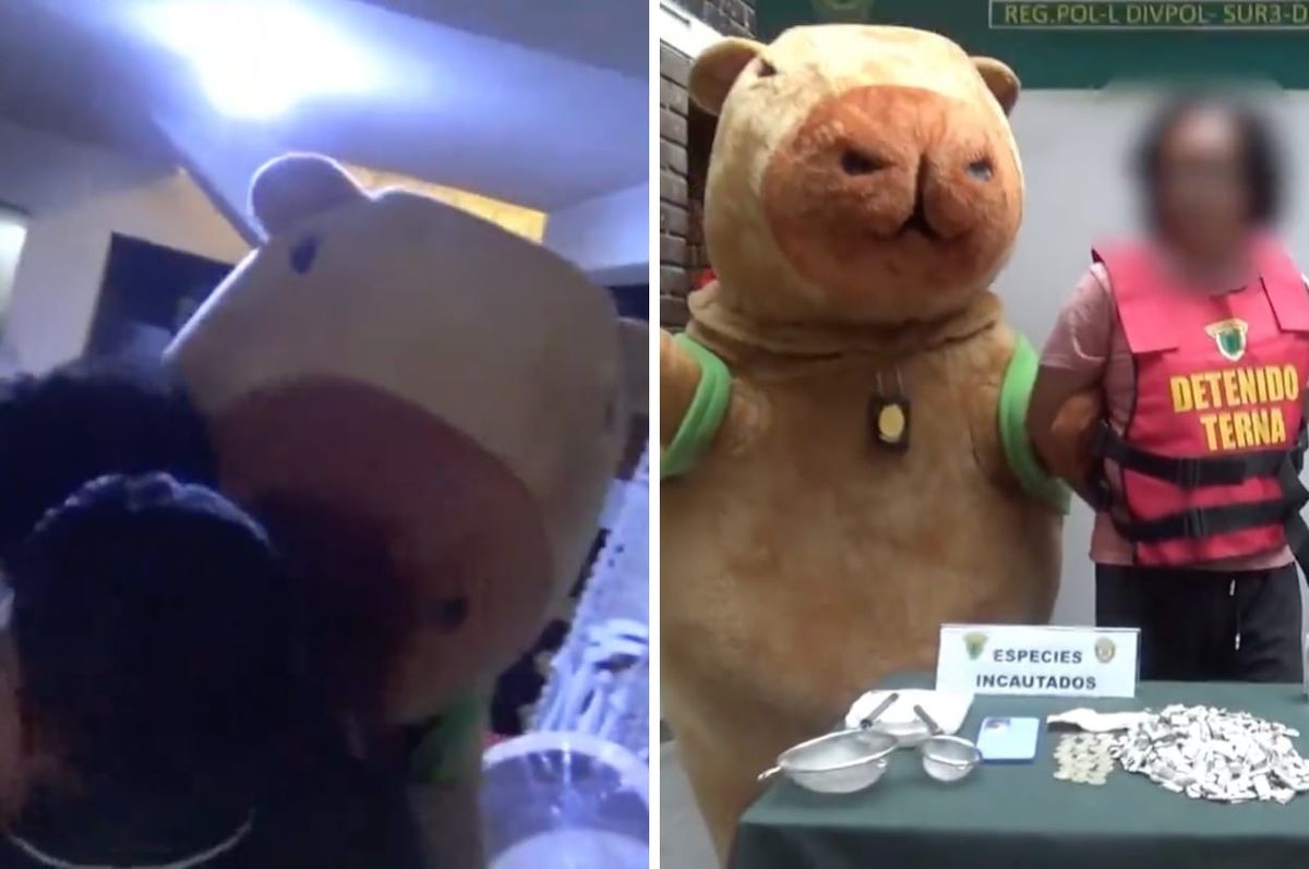 peru police capybara drug bust valentines