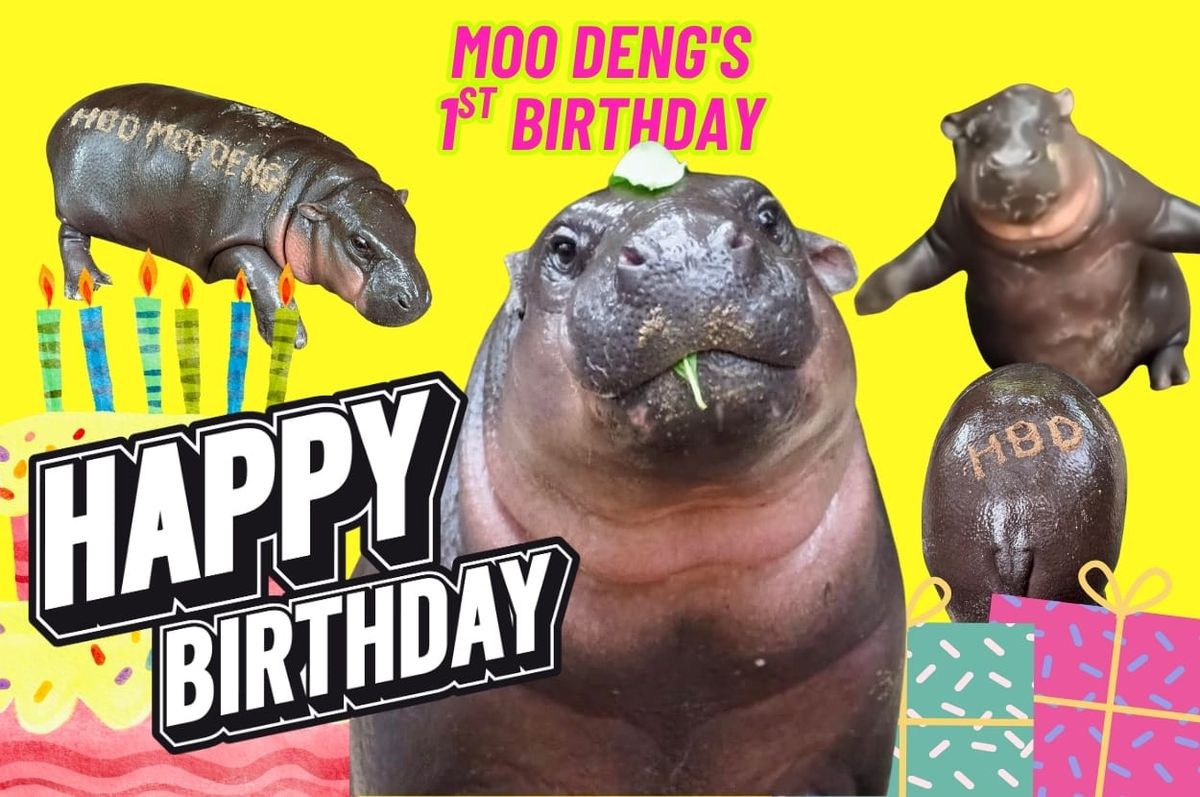 moo deng first birthday thailand