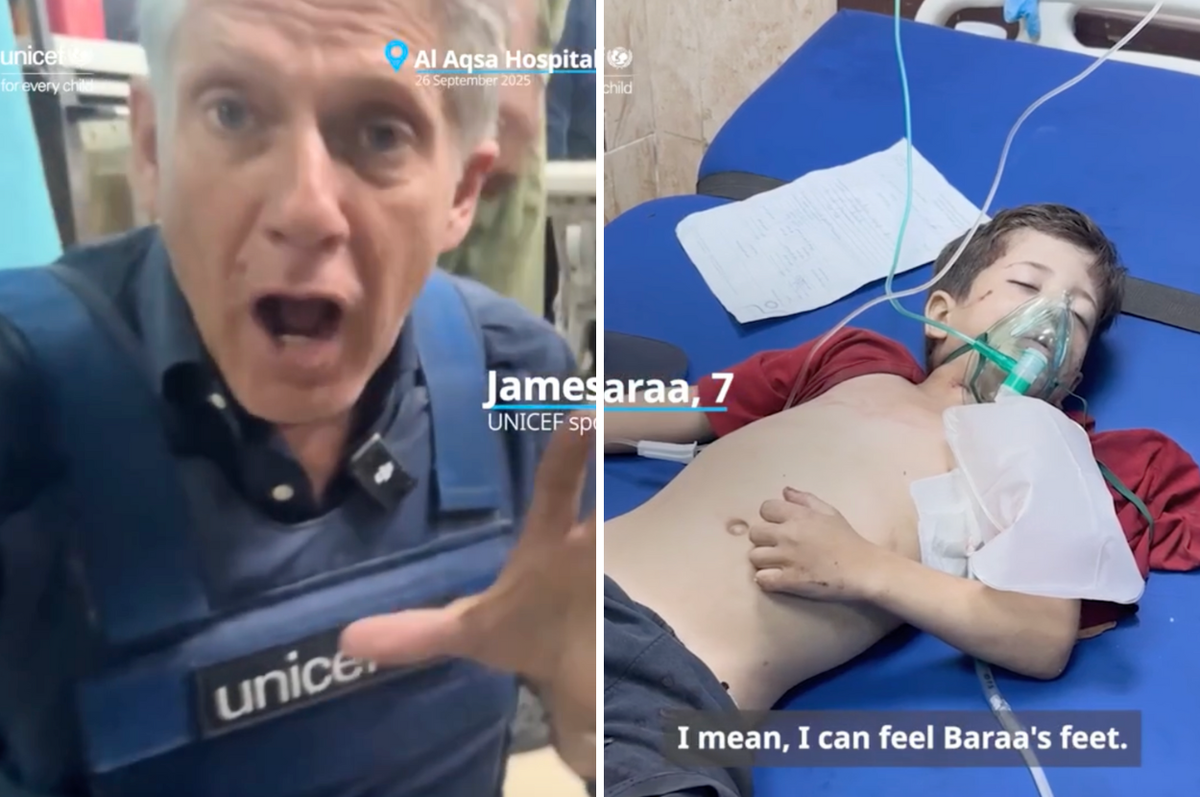 unicef james elder gaza testimony 2025