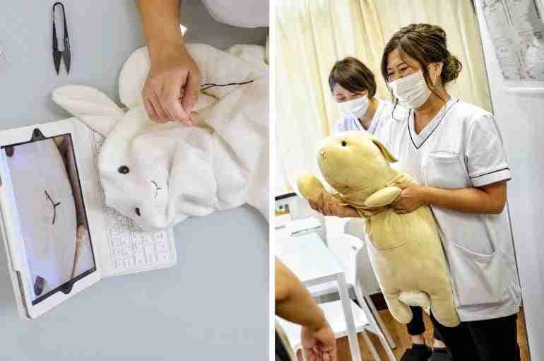 japan soft toy clinic thumbnail