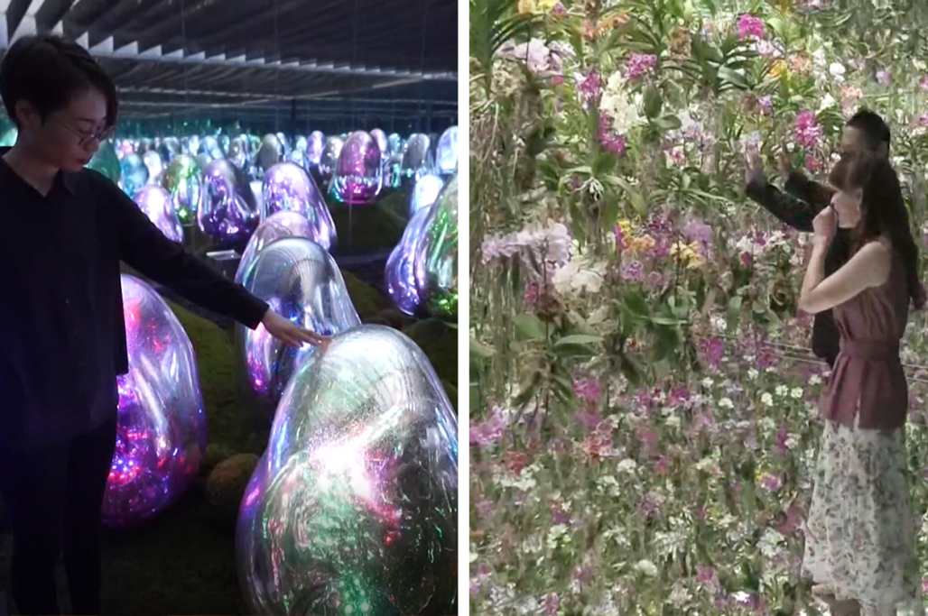 teamlab flower garden tokyo ovoids moss