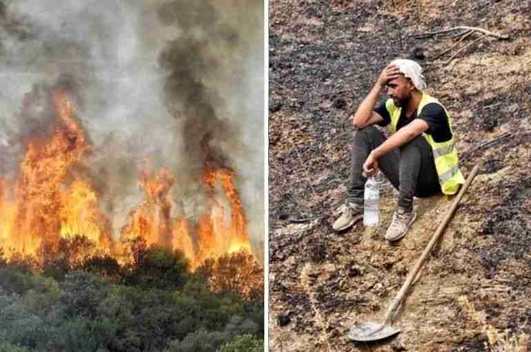 algeria wildfires soldiers