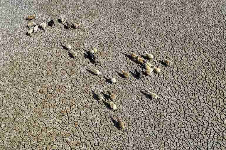lake pozzillo italy drought climate change