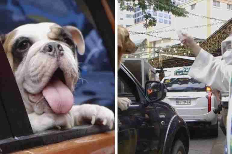 philippines pet drive through blessing catholic priest