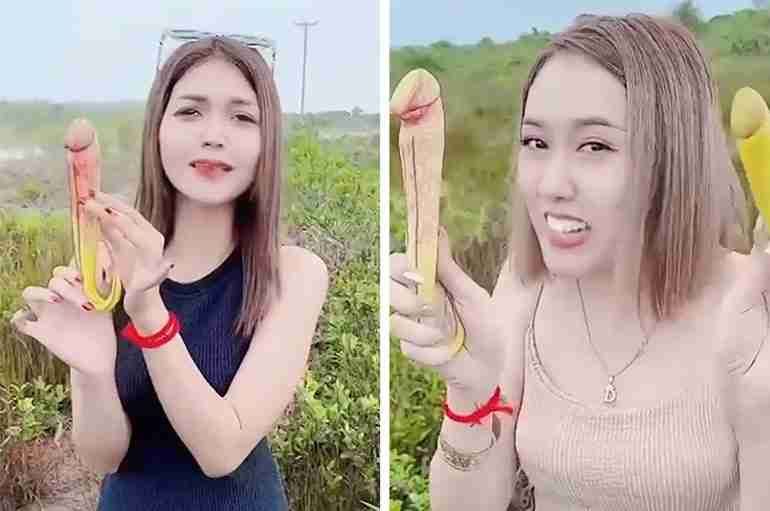cambodia women penis plant