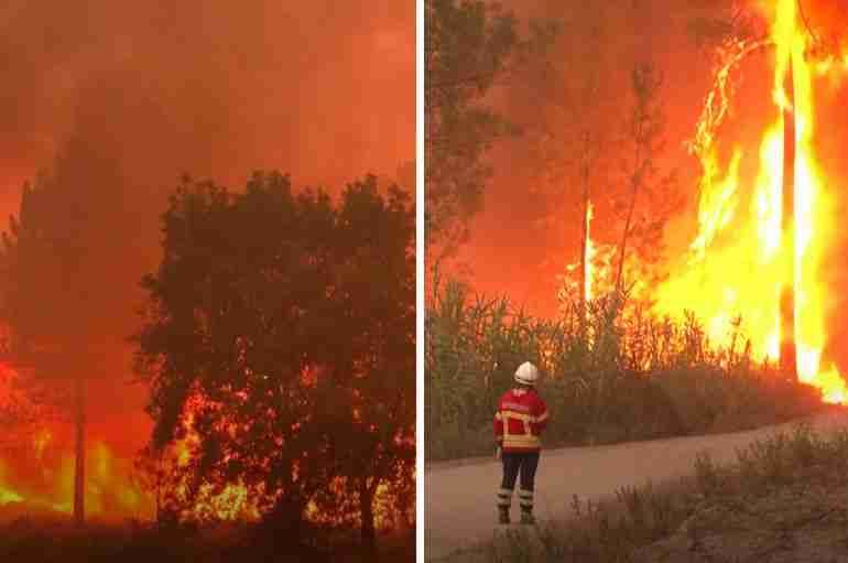 portugal wildfires heatwaves climate change