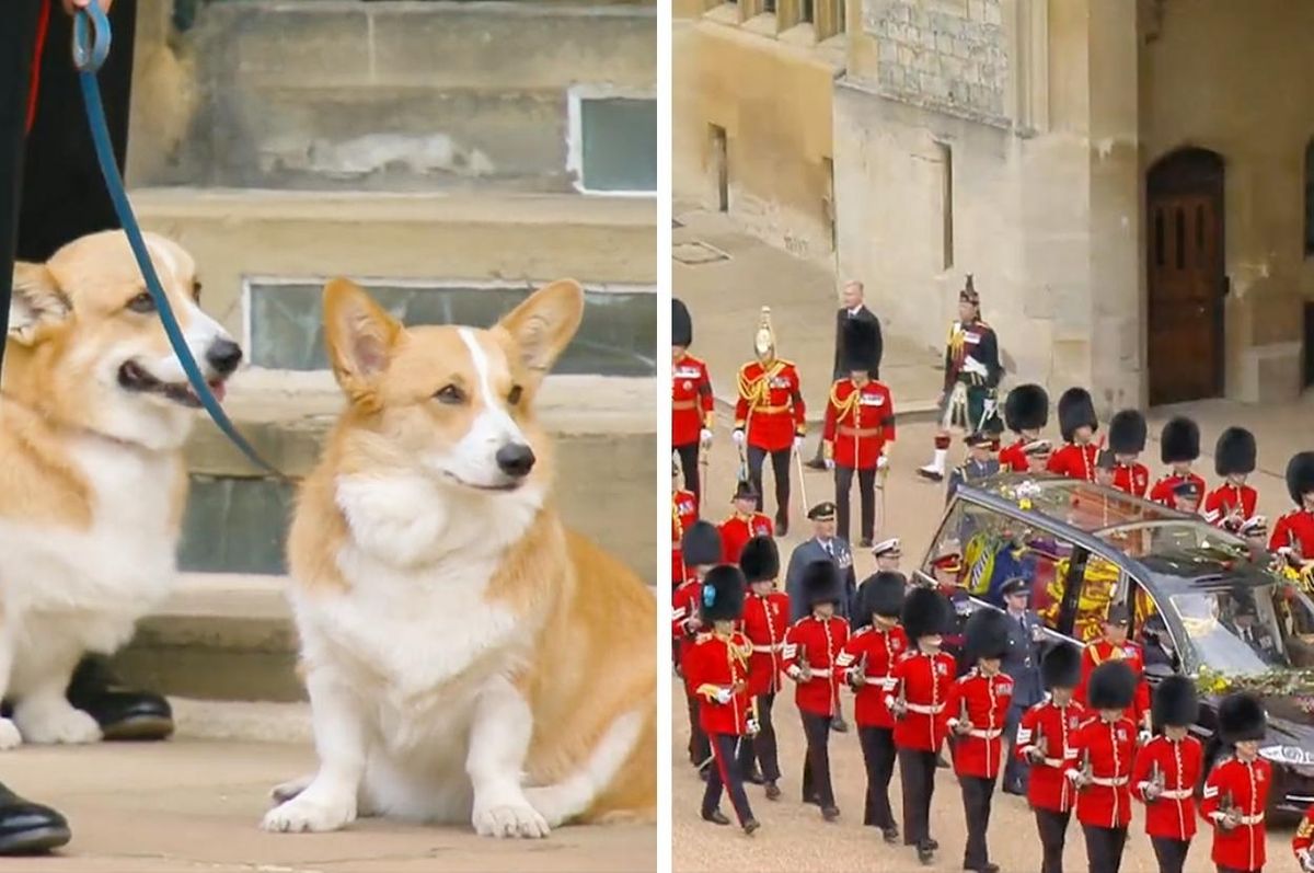 queen corgis funeral