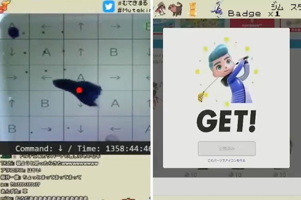 japan gamer fish credit card fraud mutekimaru switch