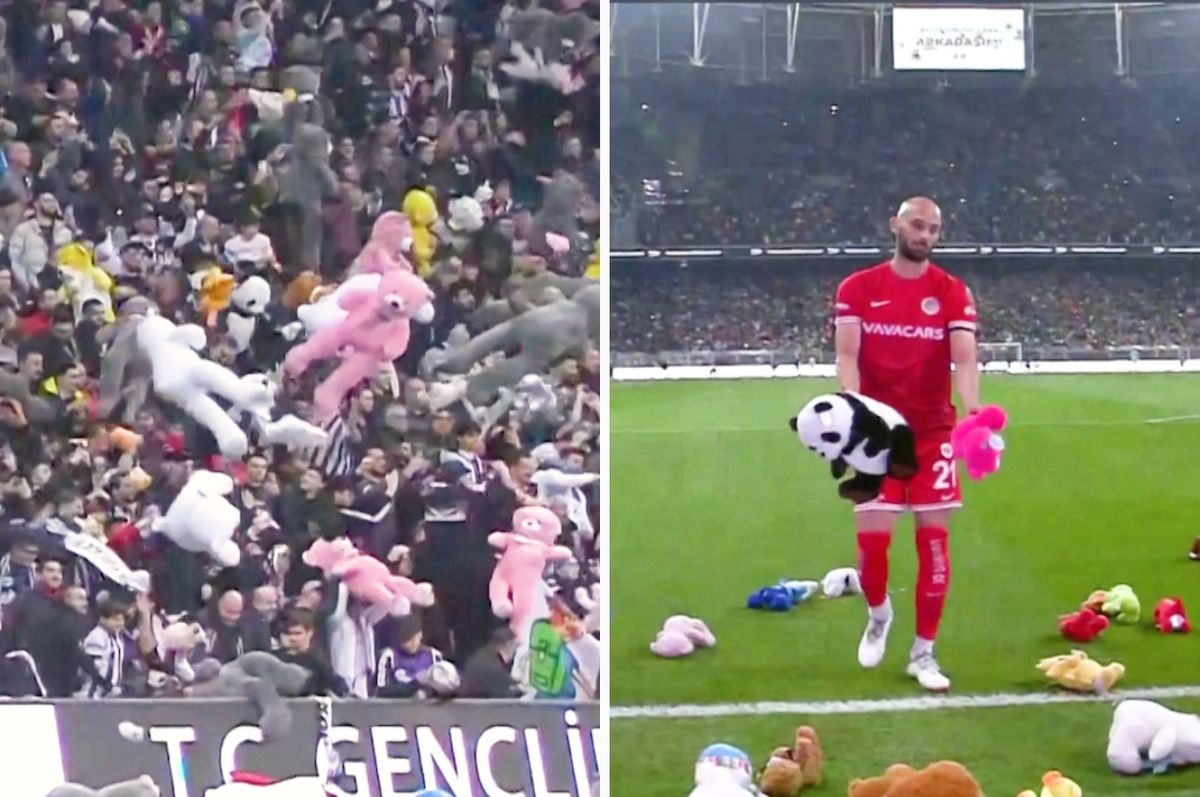 turkey football fans soft toys besiktas earthquake
