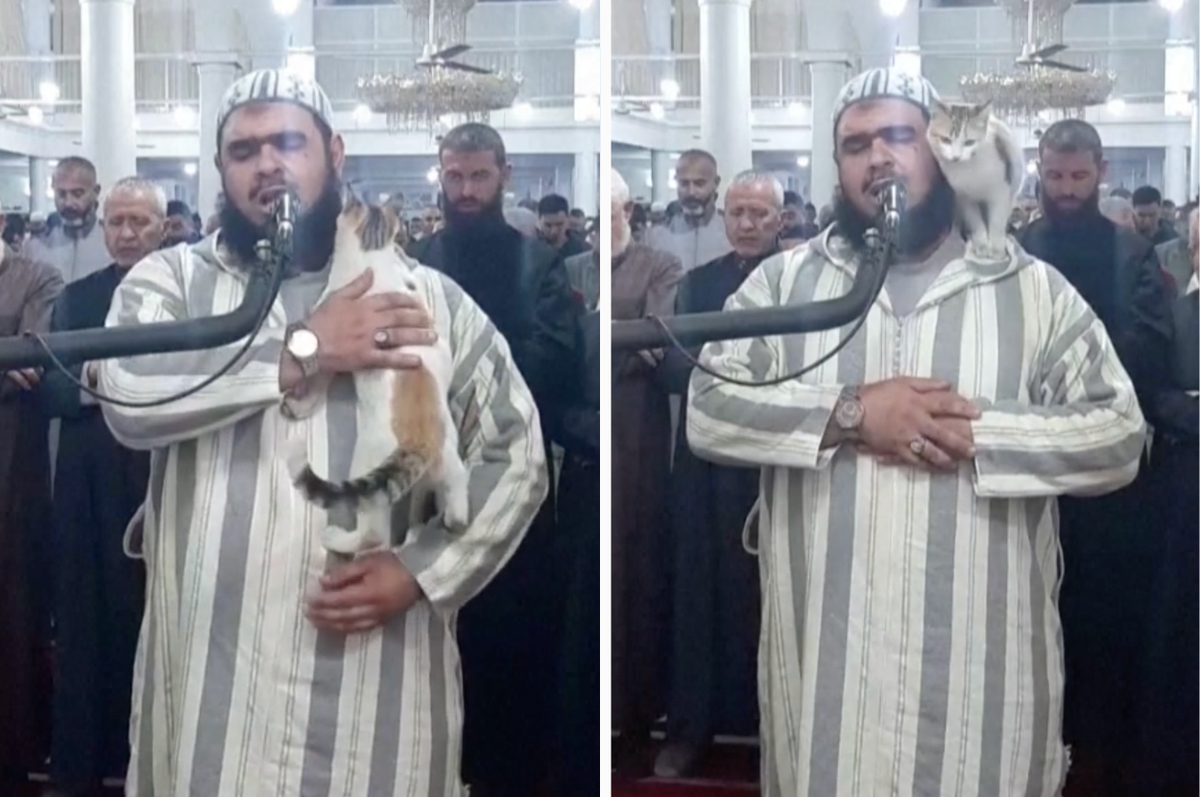 cat interrupt ramadan prayer algeria sheikh