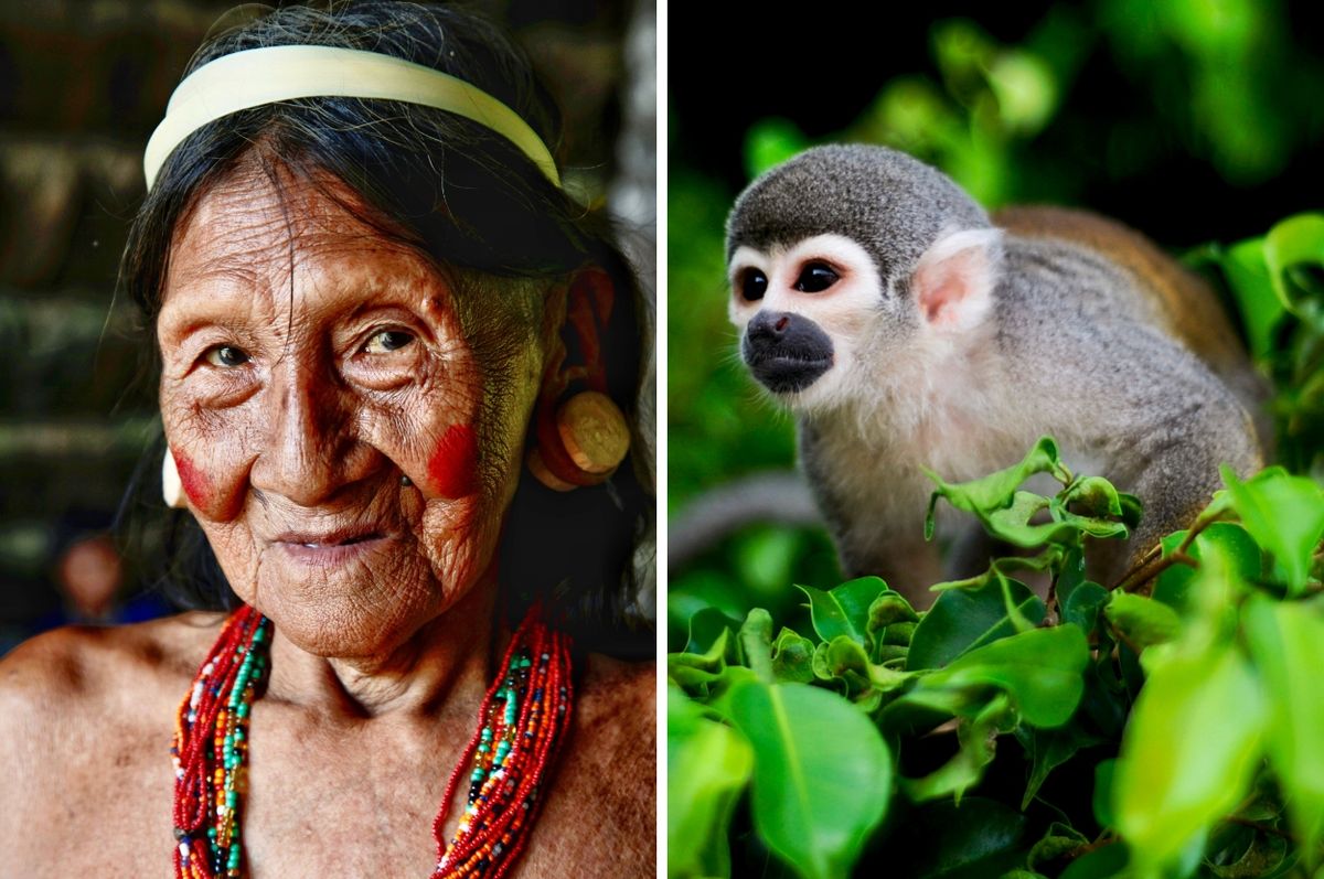 ecuador yasuni oil drilling referendum passed