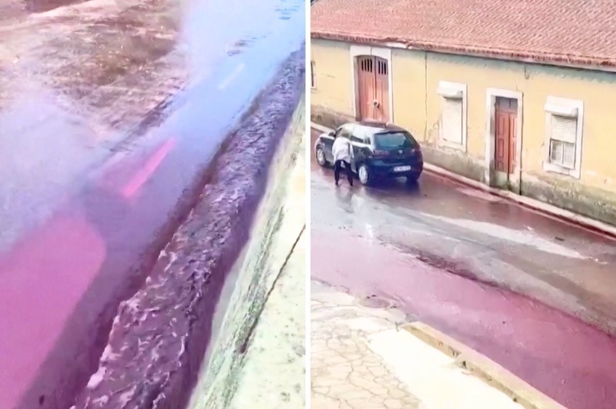 portugal wine spill São Lourenço de Bairro