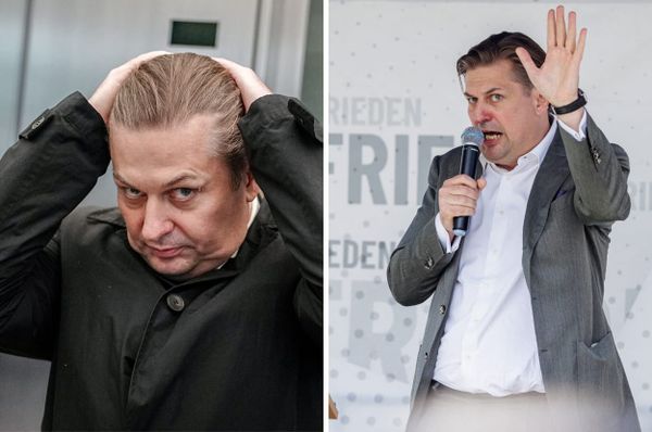 germany afd nazi ss criminal controversy far right maxmilian krah