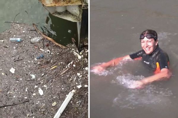 paris mayor seine swim poop anne hidalgo