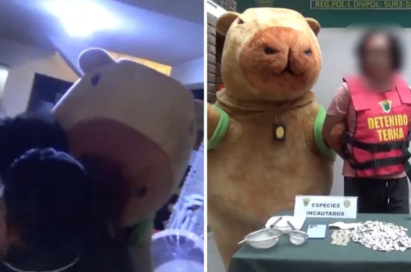 peru police capybara drug bust valentines