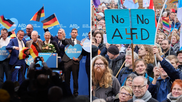 germany afd far right election second