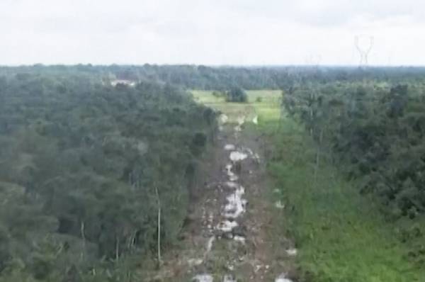 Brazil chops amazon rainforest cop30 highway