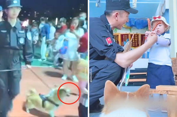 china first police corgi steal sausage apology