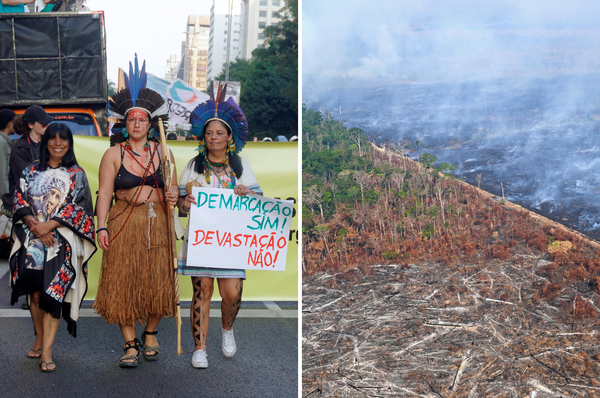 brazil devastation bill environment harm projects approval