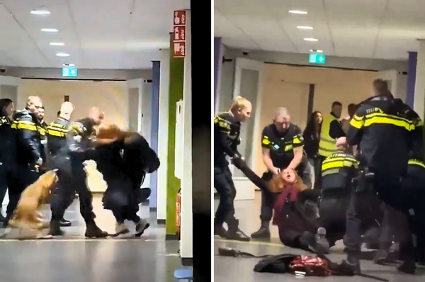netherlands police drag hit pregnant woman palestine