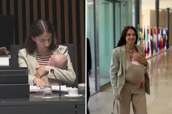 Romina Pourmokhtari swedish mep baby son eu parliament
