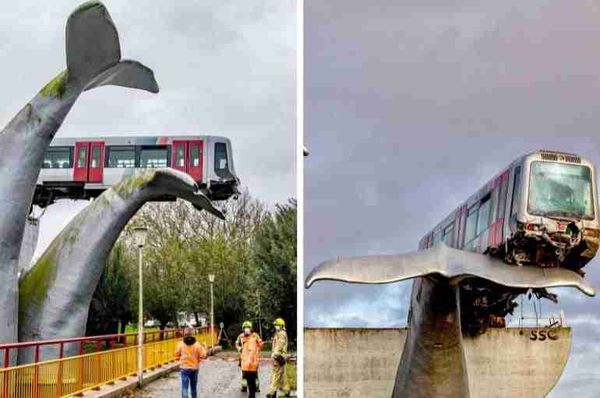dutch whale sculpture catches train thumbnail