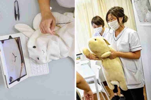 japan soft toy clinic thumbnail
