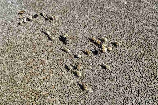 lake pozzillo italy drought climate change