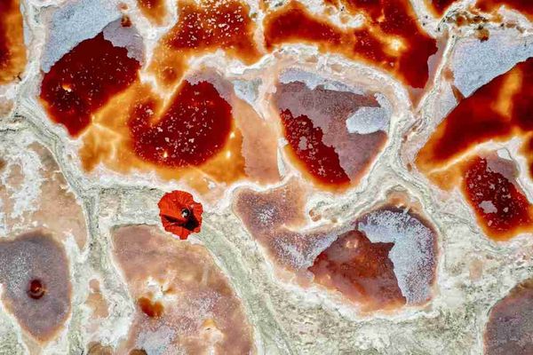 inner mongolia red lake ulaan