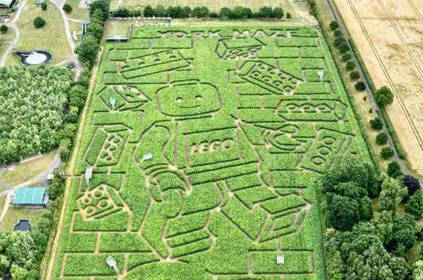 york maze lego tom pearcy uk
