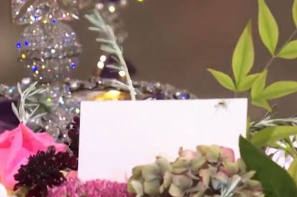 queen funeral spider coffin