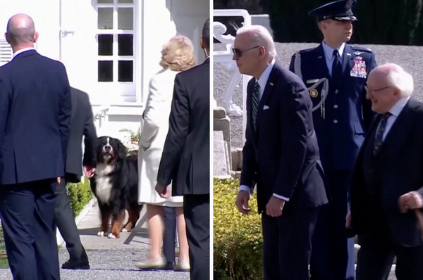 joe biden snubbed irish president dog misneach