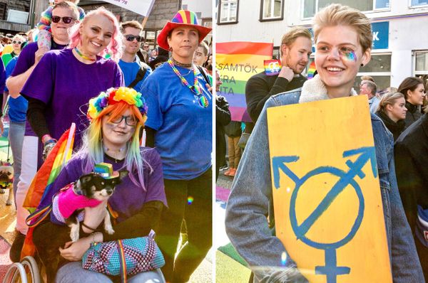 iceland conversion therapy banned