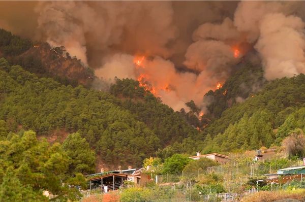 tenerife wildfire spain 2023