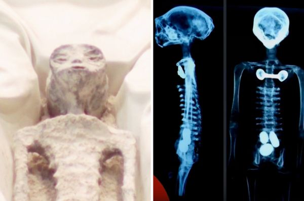 mexico aliens congress jaime maussan