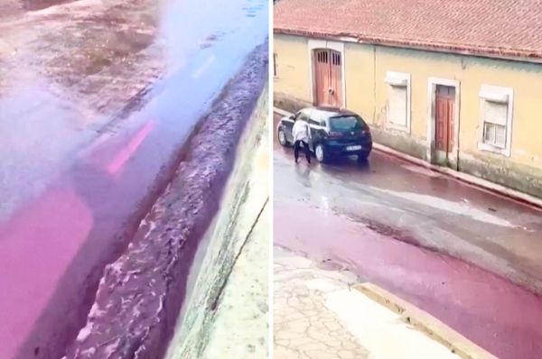 portugal wine spill São Lourenço de Bairro