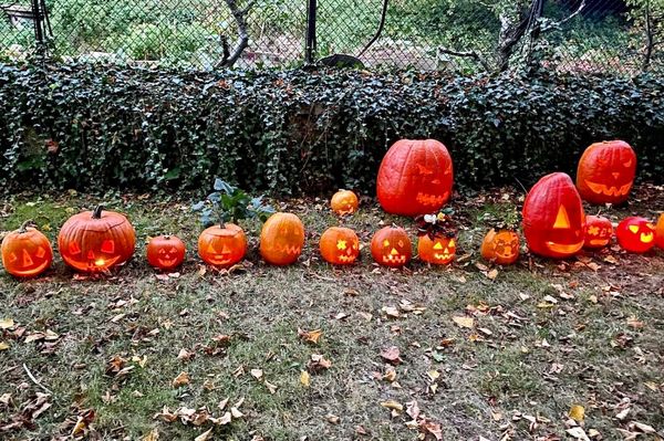 czech priest smash pumpkins halloween satanic apology