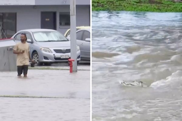 cyclone jasper australia flood crocodile queensland