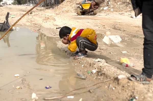 gaza child drink rainwater puddle