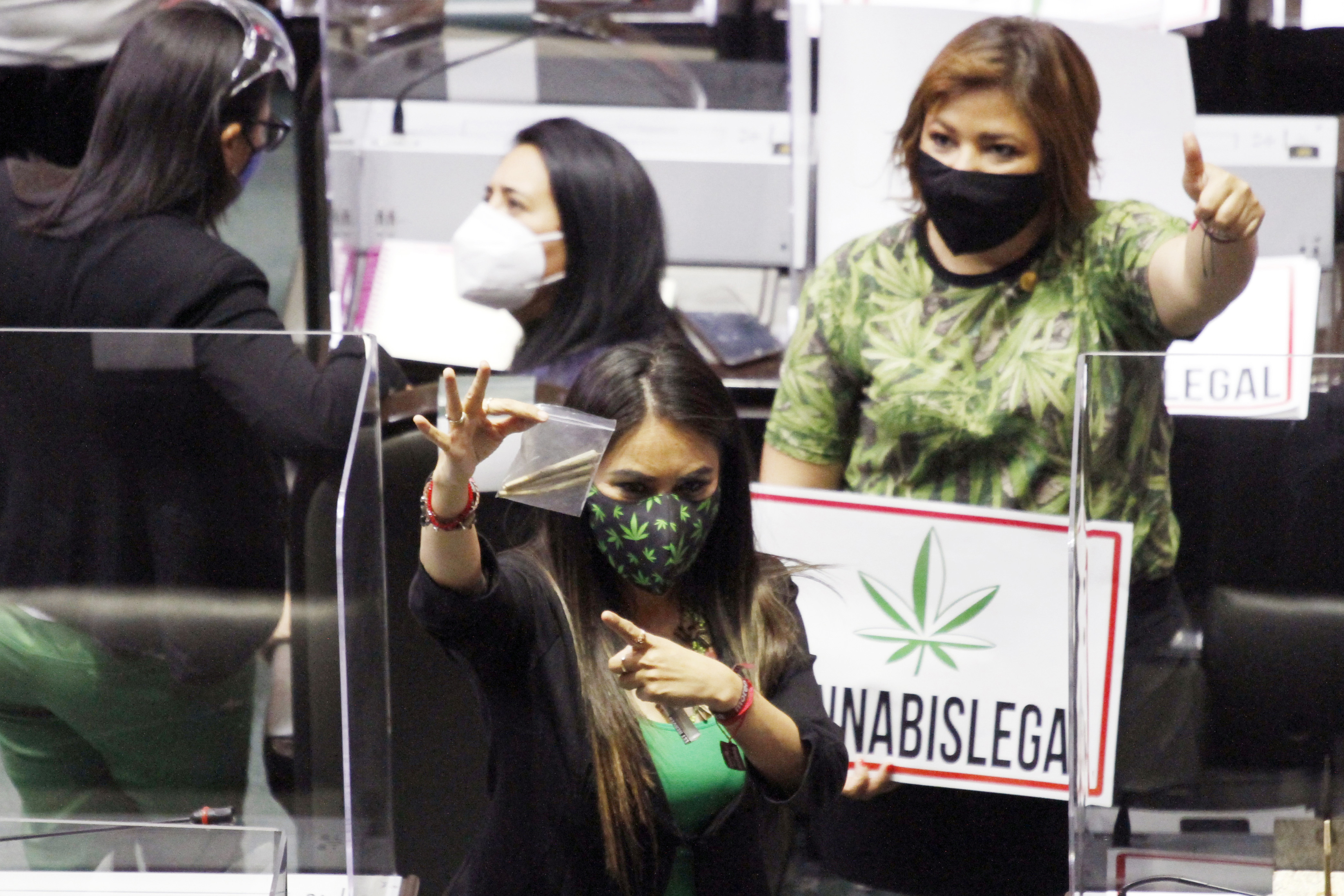 The legislator of Mexico, Simey Olvera, urged his fellow legislators to approve the regulation of marijuana photo.