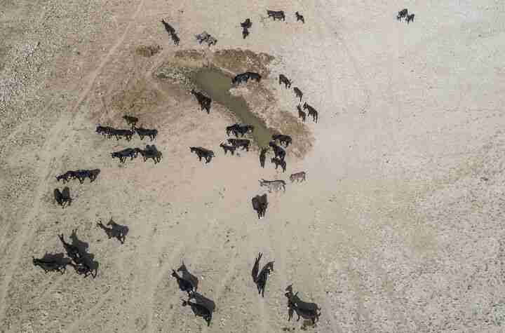 lake pozzillo italy drought climate change