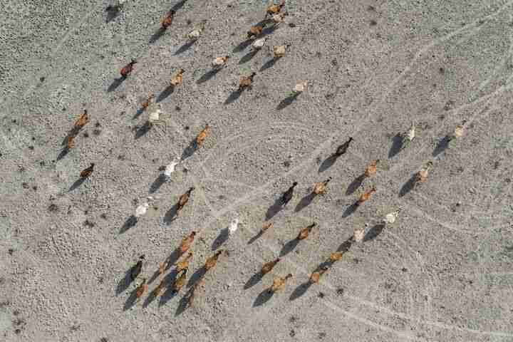 lake pozzillo italy drought climate change